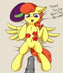  2015 animal_genitalia arrow chest_tuft disembodied_penis duo english_text equine fearingfun female friendship_is_magic fur hair hat hi_res horsecock male male/female mammal my_little_pony navel open_mouth penis pussy record_high_(mlp) solo_focus text tuft wings yellow_fur young 