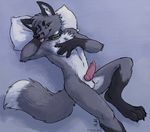  2015 amara_telgemeier animal_genitalia balls canine canine_penis erection fox fur grey_fur grey_hair hair knot looking_at_viewer lying male mammal nude on_back penis pillow solo tongue tongue_out yellow_eyes 