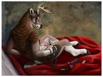 2015 anatomically_correct animal_genitalia anthro antlers back_view bdsm bed_sheet bedroom_eyes bondage bound cervine collar condom deer erection fur half-closed_eyes hooves horn krimzen_redwing leash looking_at_viewer looking_back lube male mammal muscles nude open_mouth penis pinup plain_background pose shoulders smile solo spread_legs spreading 