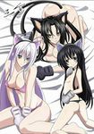  3girls all_fours animal_ears black_eyes black_hair blue_eyes blush breasts cat_ears cat_tail cleavage erect_nipples high_school_dxd kneeling koruka large_breasts long_hair looking_at_viewer multiple_girls navel sitting small_breasts smile swimsuit tagme tail very_long_hair white_hair yellow_eyes 