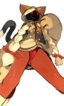  blazblue blush cat feline female mammal n0nrealist solo taokaka 