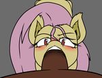  animal_genitalia bat blush brown_fur brown_penis duo equine faceless_male fangs fellatio female first_person_view flutterbat_(mlp) fluttershy_(mlp) friendship_is_magic fur grey_background hair half-closed_eyes horse horsecock looking_at_viewer male male/female mammal my_little_pony no_pupils open_mouth oral penis pink_hair plain_background pony sex sparkscut teeth yellow_fur 