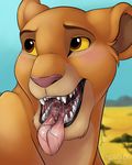  blush disney feline female kiara lion mammal nummynumz open_mouth teeth the_lion_king tongue vore yellow_eyes 