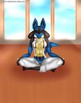  abs absurd_res anthro breasts canine clothed clothing eyes_closed female hi_res lucario mammal meditation nintendo pants pok&eacute;mon skydog solo underwear video_games 