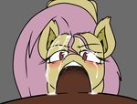  animal_genitalia bat blush brown_fur brown_penis cum cum_in_hair cum_in_mouth cum_inside cum_on_face duo equine faceless_male fangs fellatio female first_person_view flutterbat_(mlp) fluttershy_(mlp) friendship_is_magic fur grey_background hair half-closed_eyes horse horsecock looking_at_viewer male male/female mammal my_little_pony no_pupils open_mouth oral penis pink_hair plain_background pony sex sparkscut teeth yellow_fur 