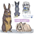  blue_eyes canine collar dog emlan female final_fantasy_iv fur lagomorph male mammal rabbit whiskers 
