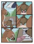  anthro cervine comic cum cum_in_mouth cum_inside deer duo first_person_view koba male male/male mammal mustelid oral otter penis 