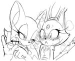  angry bat blaze_the_cat blush cat duo feline female forehead_gem mammal rouge_the_bat sonic_(series) suggestive unknown_artist video_games 