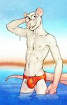  anthro biscuit bulge clothed clothing eyewear glasses half-dressed kihu male mammal rat rodent solo speedo standing swimsuit topless water 