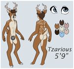  antlers black_nose blue_eyes brown_fur brown_hair butt censored cervine deer english_text ethriol_(artist) fur grey_background hair hooves horn male mammal model_sheet nude plain_background spots standing text tzarious_(character) 