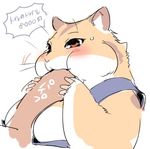  1boshi anthro blush chubby eating fur hamster japanese kemono mammal rodent solo 