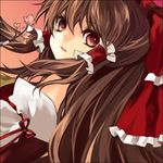  bow brown_eyes brown_hair cherry_blossoms detached_sleeves hakurei_reimu hina_(pico) japanese_clothes long_hair lowres ribbon solo touhou 