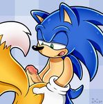  canine duo fox hedgehog hi_res hot_dogging male male/male mammal miles_prower penis sonic_(series) sonic_the_hedgehog spice5400 