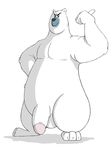  abs anthro anthrofied balls bear character_from_animated_feature_film corporal_the_polar_bear delirost_(artist) dreamworks flaccid madagascar male mammal muscles north_wind penis solo 