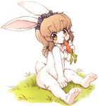  brown_eyes brown_hair carrot eating female feral hair kemono kishibe lagomorph mammal nude rabbit solo 