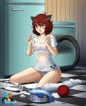  animal_ears bottle breasts brown_eyes brown_hair cat_ears cat_tail covered_nipples fish highres hizzacked medium_breasts milk milk_bottle nipples original panties red_hair see-through shirt short_hair socks solo spill t-shirt tail underwear wet wet_clothes yarn yarn_ball 