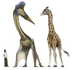  ambiguous_gender giraffe human male mammal mark_witton pterosaur quetzalcoatlus reptile scalie 