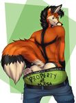  2015 accelo anthro black_hair blue_eyes boxer_briefs butt canine clothing collaboration cress fox hair looking_at_viewer looking_back male mammal pants pants_down solo tartii underwear underwear_down undressing 