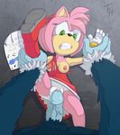  amy_rose breasts clothing erection female force forced green_eyes male male/female nipples panties penis rape rubbing sex sonic_(series) sonic_the_hedgehog sonic_the_werehog teasing the_other_half underwear vaginal 
