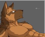  abs big_muscles canine canyne_khai dog male mammal muscles pecs 
