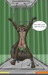  abs alternative_version_available anatomically_correct anatomically_correct_penis animal_genitalia anthro balls dripping english_text erection fluffy_tail front_view fully_bound guardians_of_the_galaxy kitsune18 male mammal muscles nipples nude pecs penis precum raccoon raised_arm rocket_raccoon sheath solo speech_bubble standing tapering_penis text toned 