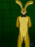  bleuxwolf bow_tie chest_tuft five_nights_at_freddy&#039;s five_nights_at_freddy&#039;s_3 fur lagomorph mammal muscles pecs rabbit solo springtrap_(fnaf) tuft video_games yellow_eyes 
