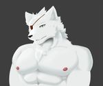  abs anthro biceps canine chest_tuft croiyan eye_patch eyewear fur green_eyes male mammal muscles nipples pecs penis tuft white_fur 