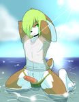  2015 anthro bikini brown_fur clothing erection fur girly green_eyes green_hair hair hands_behind_head humanoid_penis kneeling lagomorph looking_at_viewer lotte_(munks) male mammal munks partially_submerged penis poking_out rabbit sea shirt smile solo sunlight swimsuit translucent transparent_clothing uncut water wet wet_clothing wet_shirt white_fur 