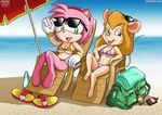  amy_rose bbmbbf beach chip_&#039;n_dale_rescue_rangers disney gadget_hackwrench hedgehog mammal mouse palcomix rodent seaside sonic_(series) 