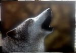  canine feral goodwolf howl latex_(artist) mammal wild wolf 
