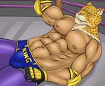  abs anthro biceps bulge cheetah feline fur green_eyes human king_(tekken) kraidhiel male mammal mask muscles nipples pecs 