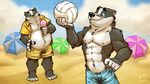  abs badger beach biceps chest_tuft clothed clothing food fur green_eyes half-dressed ice_cream k-9 male mammal muscles mustelid nipples pecs seaside tuft volleyball 