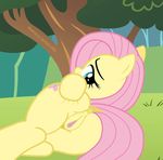  2015 animated anus butt equine female feral fluttershy_(mlp) friendship_is_magic mammal my_little_pony pegasus pussy shutterflyeqd solo wings 