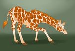  2014 anus blue_eyes female giraffe looking_at_viewer looking_back mammal naoma-hiru presenting pussy standing 