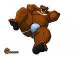  almasy bear bulge butt clothing jockstrap juuichi_mikazuki male mammal morenatsu plain_background solo underwear white_background 