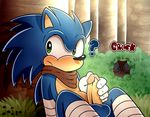  ? balls canine fox green_eyes hedgehog male mammal masturbation miles_prower penis sitting sonic_(series) sonic_boom sonic_the_hedgehog spice5400 text 