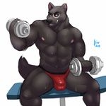  anthro bin_(artist) bulge canine male mammal muscles solo weightlifting weights wolf 