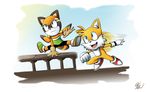  canine female fox male mammal marine_the_raccoon miles_prower raccoon rushdraik sonic_(series) 