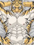  abs anthro arm_behind_head bed biceps feline fur looking_at_viewer low_res lying male mammal muscles nipples nude pecs pixel_(artwork) pixel_art pose solo stripes tiger white_fur やまけー 