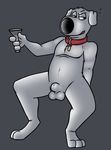  anthro balls brian_griffin canine collar dog family_guy male mammal rotten_robbie sheath solo 