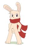  lagomorph male mammal oob penis rabbit scarf 