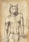  berk canine eosfoxx feathers indian mammal muscles paper sixpack sketch submissive wolf 