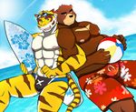  abs anthro beach_ball bear bearlovestiger13 biceps bulge clothing feline fur juuichi_mikazuki male mammal morenatsu muscles nipples pecs summer swimsuit tiger torahiko_ooshima water 