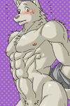  abs abstract_background arms_behind_back blush canine clothing embarrassed fur looking_at_viewer low_res mammal muscles nipples nude pixel_(artwork) pixel_art solo sweat undressing やまけー 