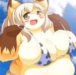  biniki bra brown_eyes canine clothing female fox hair kemono long_hair mammal rajio underwear white_hair 