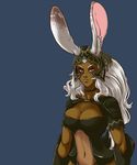  2015 big_breasts breasts cleavage clothed clothing female final_fantasy final_fantasy_xii fran navel plagueofgripes solo video_games viera 