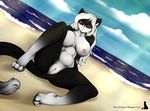  2015 anthro beach breasts cat feline female mammal natysanime nipples pussy sea seaside solo water 