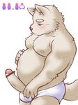  anthro belly blush bulge canine censor_bar censored cheek_tuft clothed clothing dog erection eyebrows fur half-closed_eyes half-dressed male mammal moobs nipples overweight partially_clothed penis plain_background shirako solo standing thick_eyebrows topless tuft uncut underwear white_background white_fur 