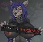  2015 anthro areola breasts canine clothing collar english_text female hair looking_at_viewer mammal nail_polish nipples patreon piercing purple_eyes purple_hair shirt solo text wolf xpray 