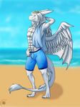  2014 anthro aquilla aquilla-whingate beach clothing cloud dragon ember-dragoness eyewear feathers fluff hair lake male michigan reptile sand scalie seaside shorts sky solo summer sunglasses swimming_trunks swimsuit teasing towel trunks_(clothing) water wings 
